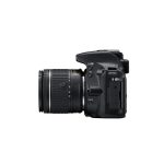 Nikon D5600 + AF-P 18-55 VR + AF-P 70-300 VR Poistuneet tuotteet 10