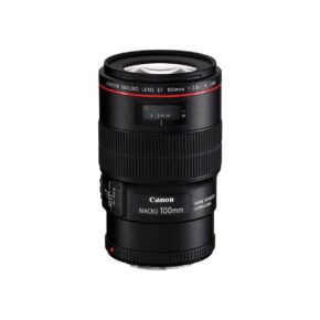 Canon EF 100mm f/2.8 Macro IS USM