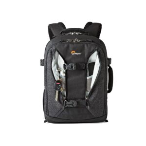 Lowepro Pro Runner BP 350 AW II