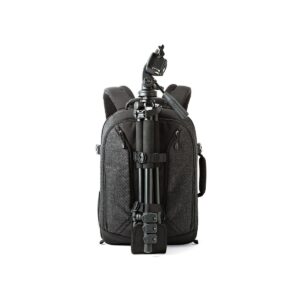 Lowepro Pro Runner BP 350 AW II