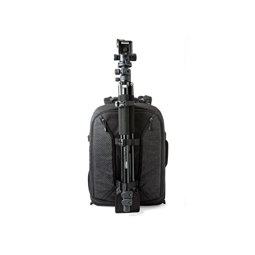 Lowepro Pro Runner BP 450 AW II