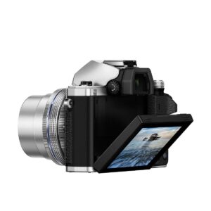 Olympus OM-D E-M10 mark II hopea + M.Zuiko 14-42 EZ Olympus OM-D E-M10 mark II hopea + M.Zuiko 14-42 EZ