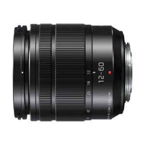 Panasonic Lumix G Vario 12-60mm f/3.5-5.6 ASPH POWER O.I.S. Panasonic Lumix G Vario 12-60mm f/3.5-5.6 ASPH POWER O.I.S.