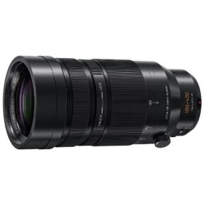 Panasonic Leica DG Vario-Elmar 100-400 mm f/4-6.3 Power O.I.S.