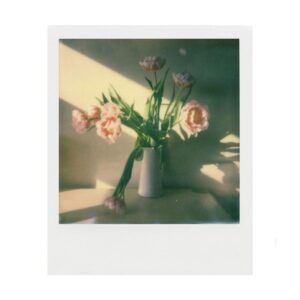 Polaroid Originals Impossible I-1 Polaroid Originals Impossible I-1