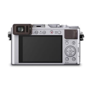 Panasonic Lumix LX100 – Hopea Panasonic Lumix LX100 – Hopea