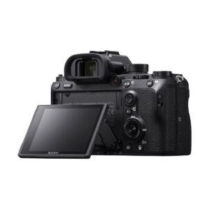 Sony Alpha A9 009 Sony Alpha A9 009