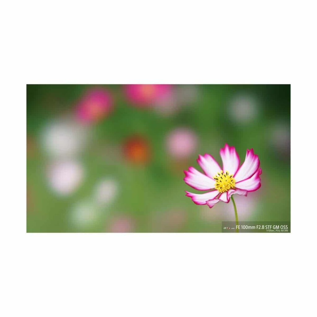 Sony FE 100mm STF f/2.8 GM Sony FE 100mm STF f/2.8 GM