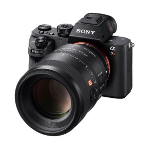 Sony FE 100mm STF f/2.8 GM Sony FE 100mm STF f/2.8 GM