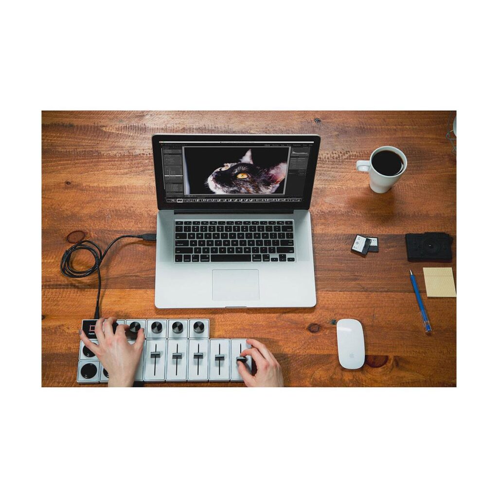 Palette Professional Kit Palette Professional Kit
