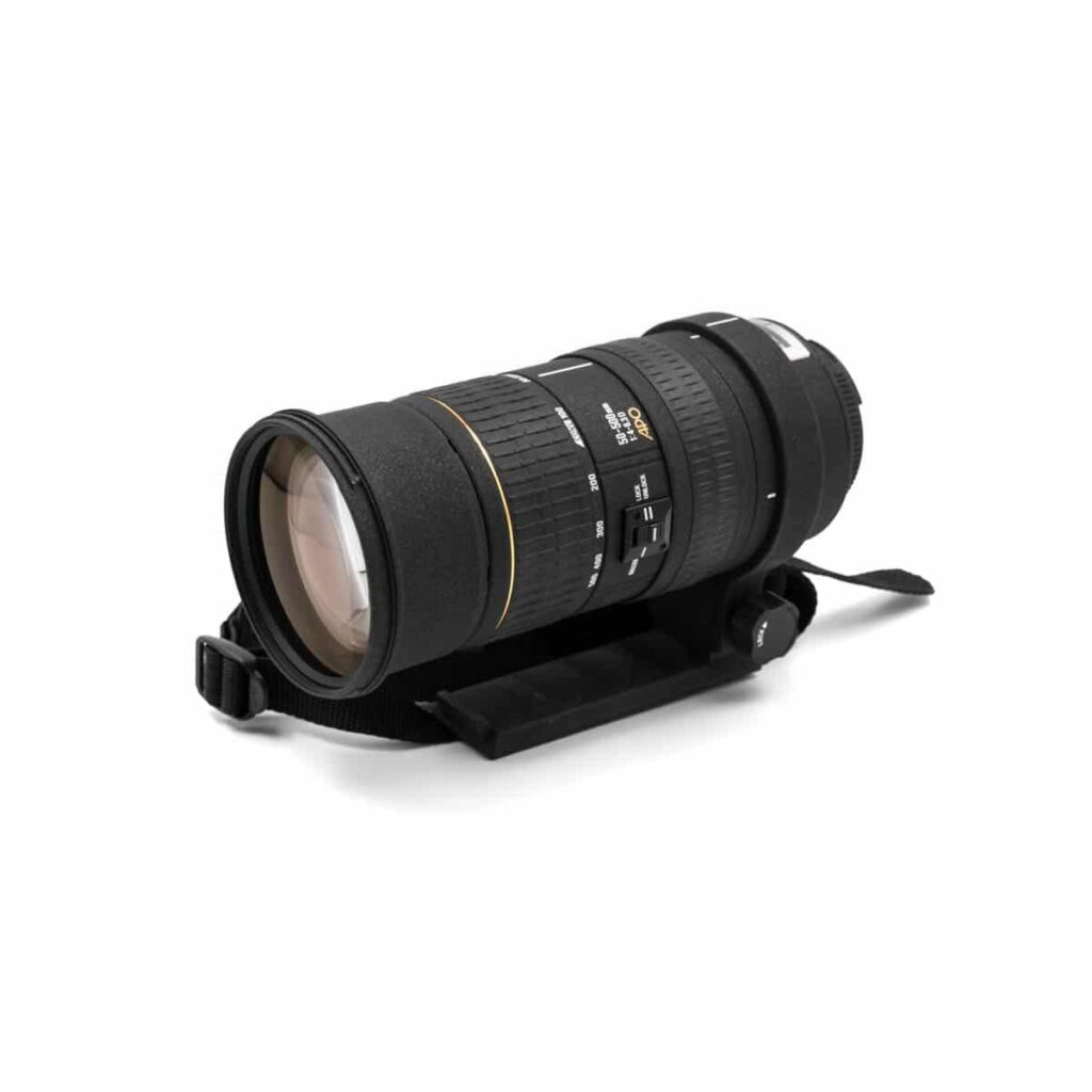 sigma 50-500mm apo nikon 2 sigma 50-500mm apo nikon 2