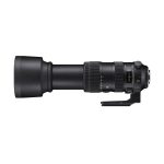 Sigma 60-600mm f/4.5-6.3 S DG OS HSM – Canon