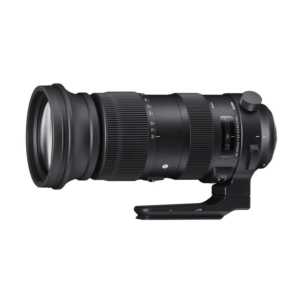 Sigma 60-600mm f4 5-6 3 DG OS HSM Nikon 001 Sigma 60-600mm f4 5-6 3 DG OS HSM Nikon 001