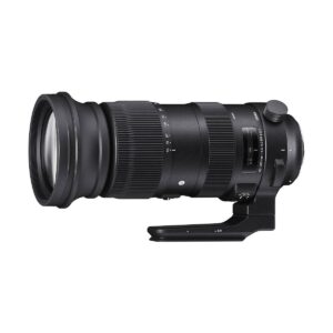 Sigma 60-600mm f4 5-6 3 DG OS HSM Nikon 001 Sigma 60-600mm f4 5-6 3 DG OS HSM Nikon 001