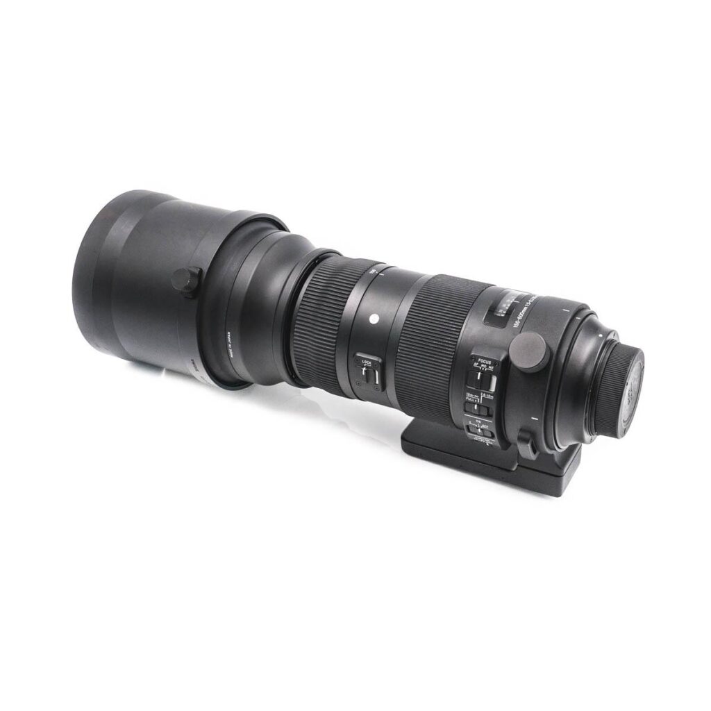 sigma 150-600mm nikon-0353 sigma 150-600mm nikon-0353
