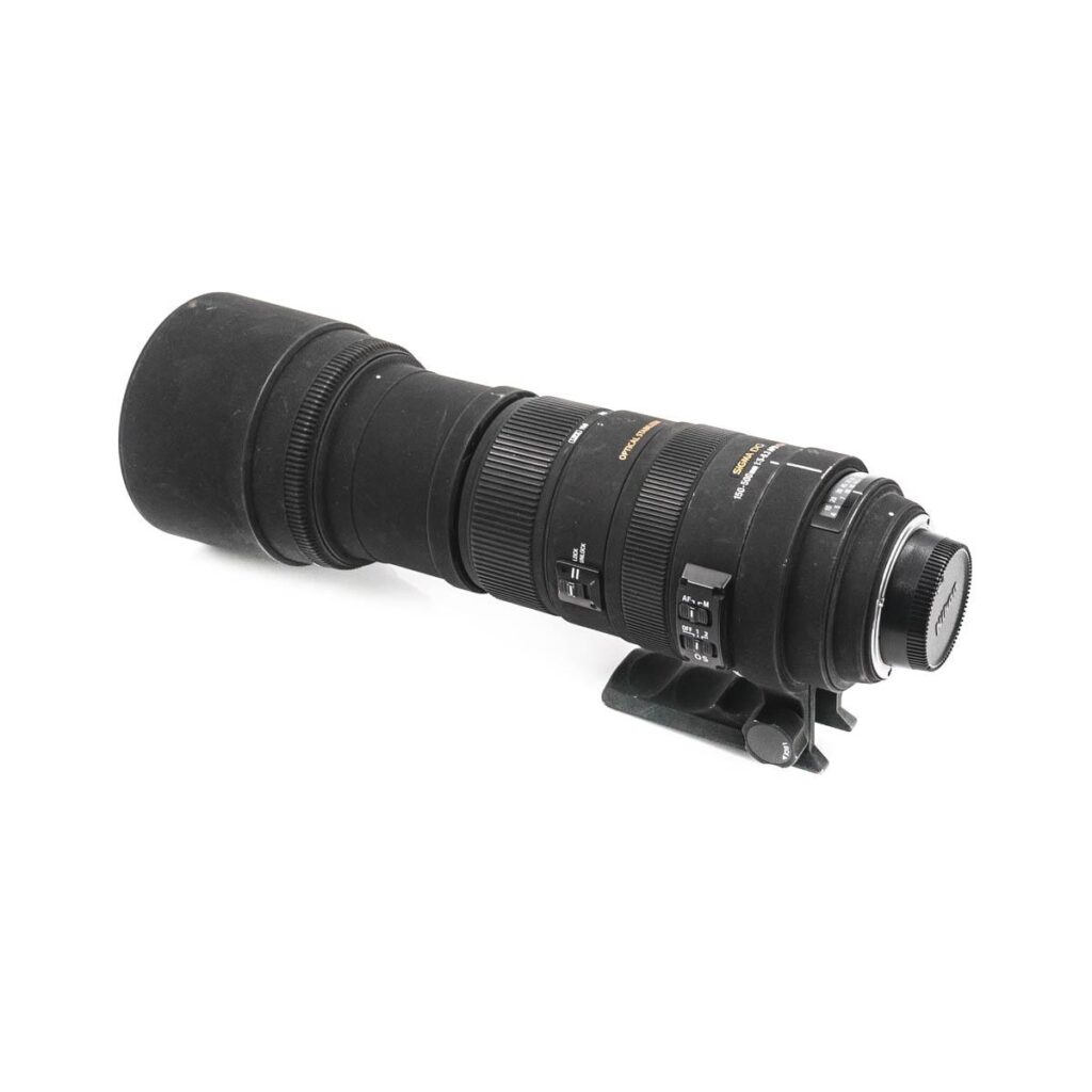 sigma 150-500mm nikon-9930 sigma 150-500mm nikon-9930