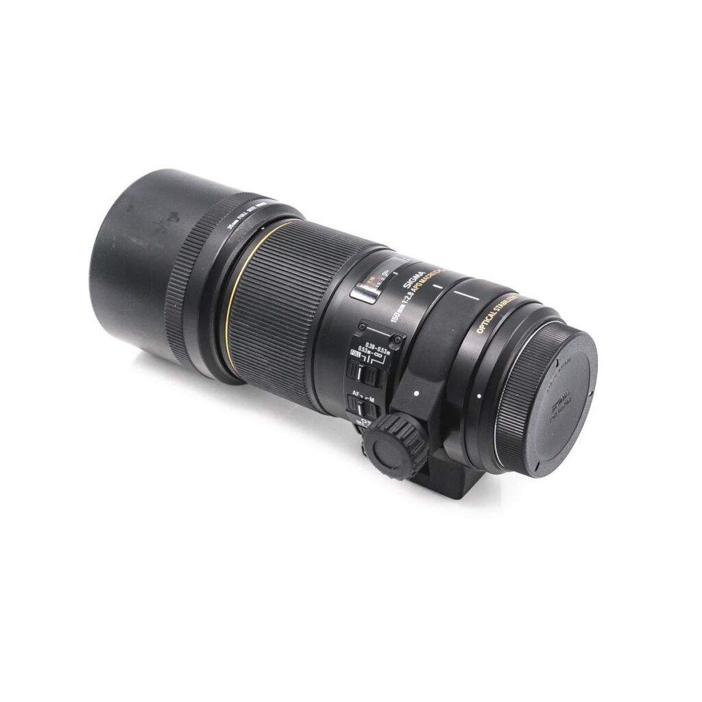 sigma 150mm canon-9955 sigma 150mm canon-9955