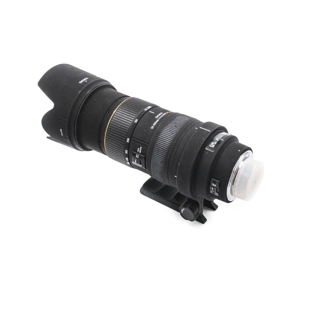 sigma 50-500mm nikon-9905 sigma 50-500mm nikon-9905