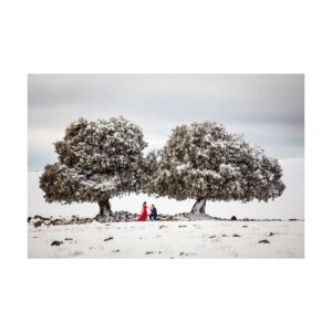 Foto Monza Häävalokuvaus Workshop 4.5.2019 – Christiano Ostinelli Foto Monza Häävalokuvaus Workshop 4.5.2019 – Christiano Ostinelli