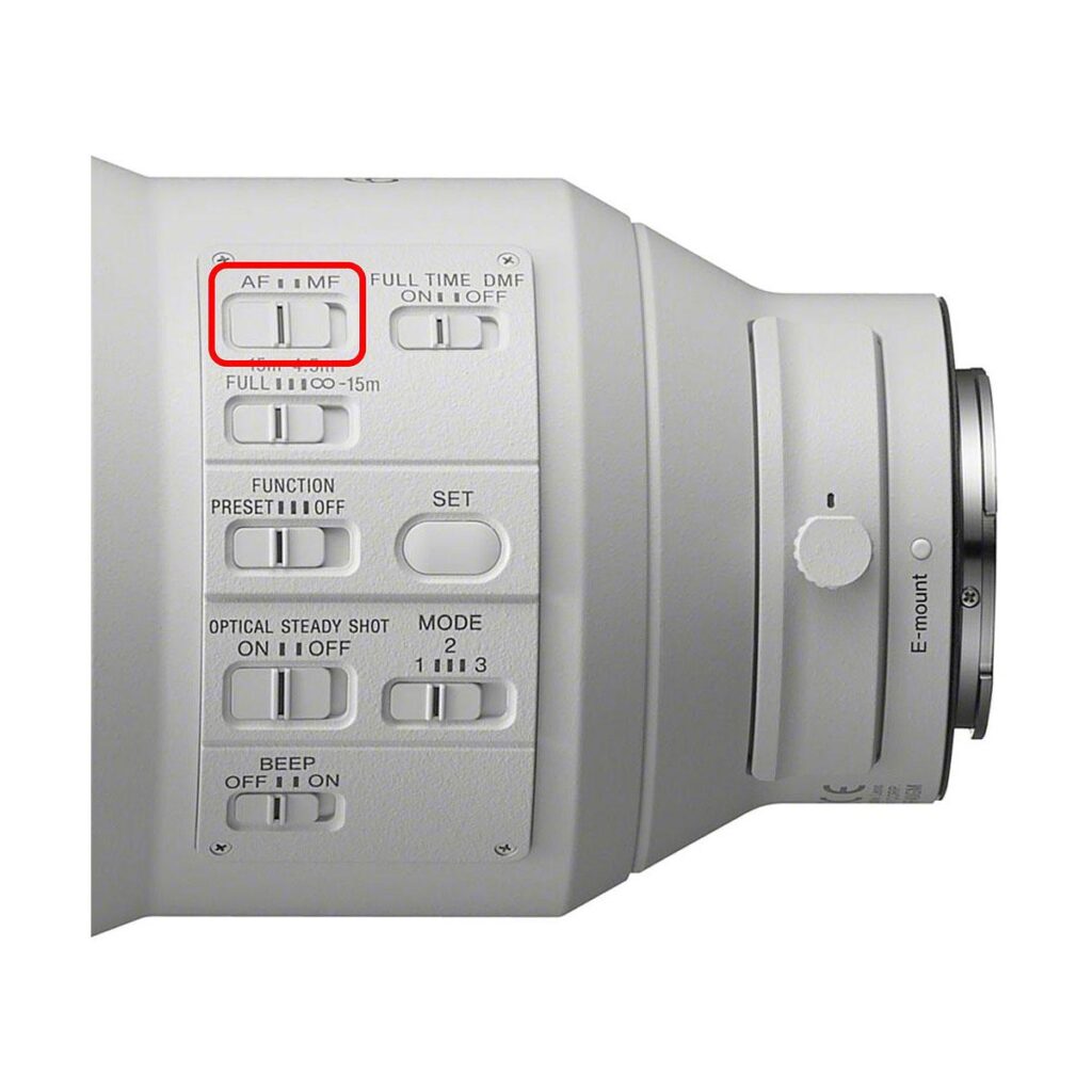 Sony FE 600mm f/4 GM OSS