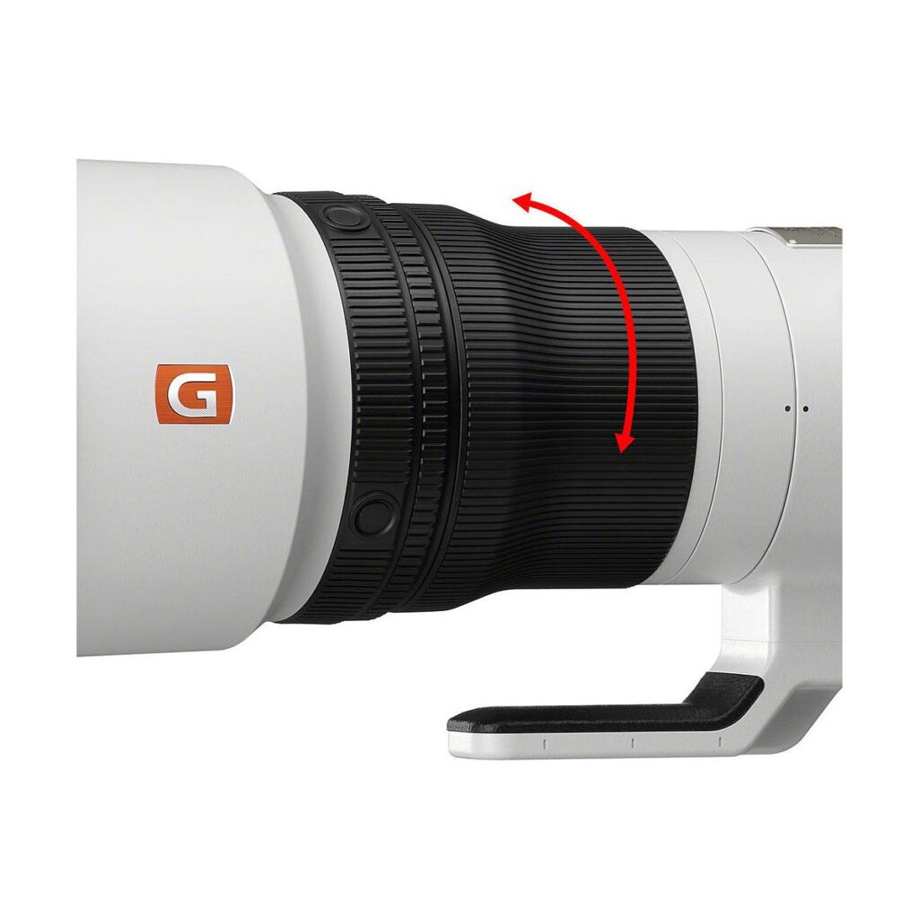 Sony FE 600mm f/4 GM OSS