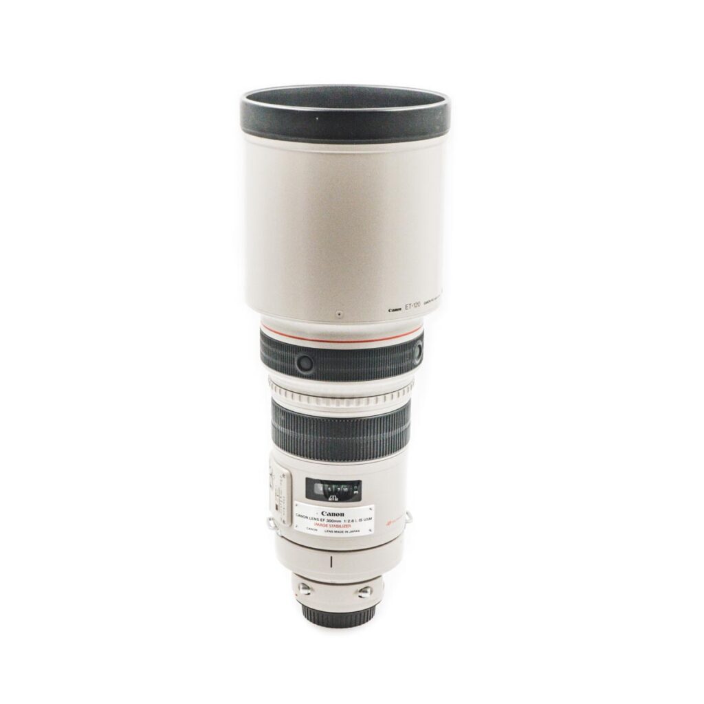 canon 300mm-2 canon 300mm-2