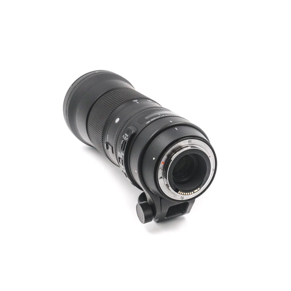 sigma 150-600mm c canon 4