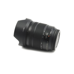 panasonic 12-60mm