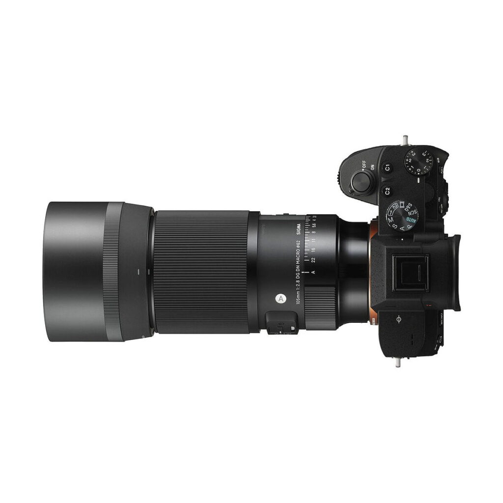 Sigma 105mm f/2.8 DG DN Macro Art - Sony E Sigma 105mm f/2.8 DG DN Macro Art - Sony E