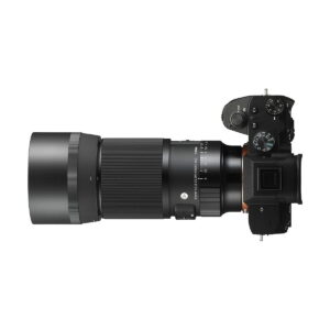 Sigma 105mm f/2.8 DG DN Macro Art - Sony E Sigma 105mm f/2.8 DG DN Macro Art - Sony E