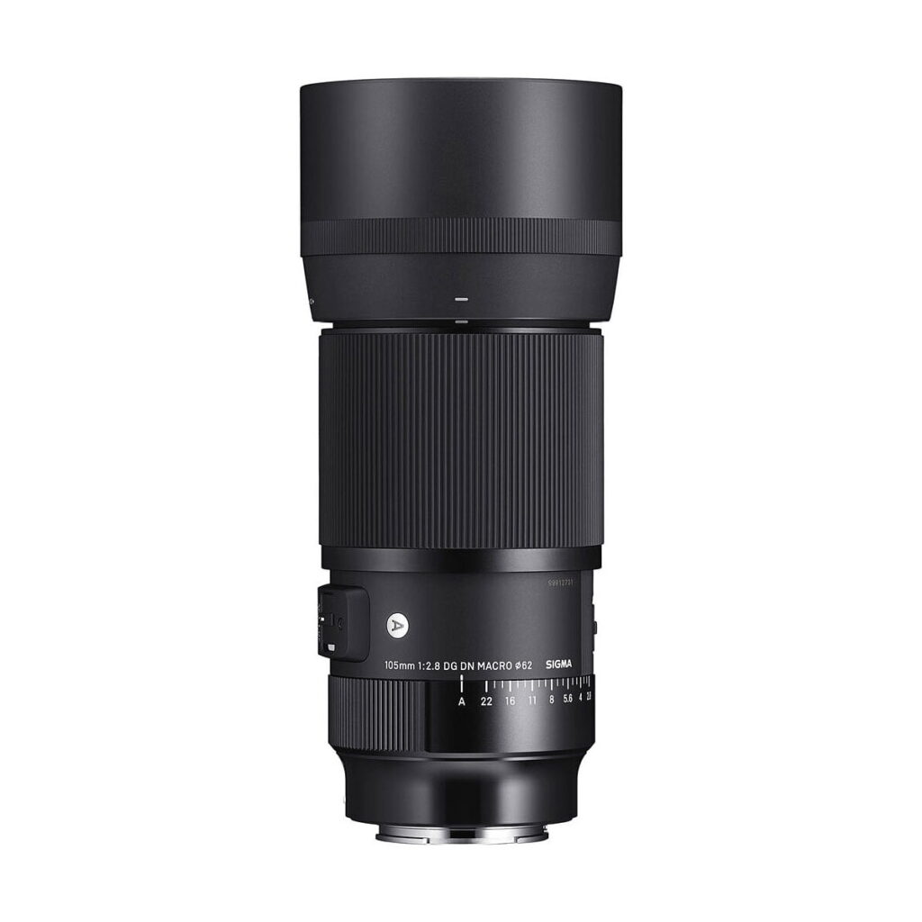 Sigma 105mm f/2.8 DG DN Macro Art - Sony E Sigma 105mm f/2.8 DG DN Macro Art - Sony E