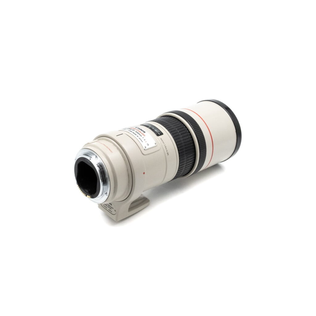 canon 300mm f4 3 canon 300mm f4 3
