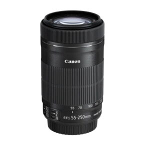 Canon EF-S 55-250mm f/4 - 5.6 IS STM