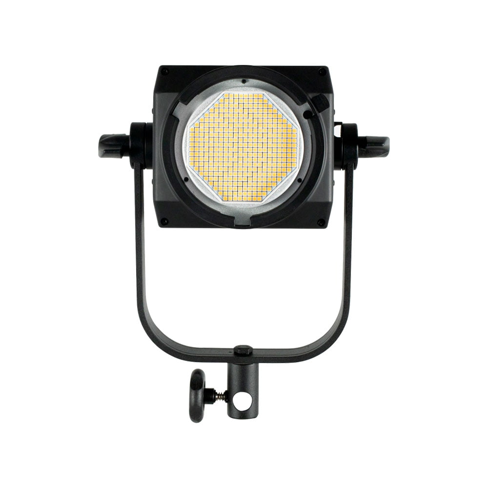 Nanlite FS-300 LED Daylight Spot Light Nanlite FS-300 LED Daylight Spot Light