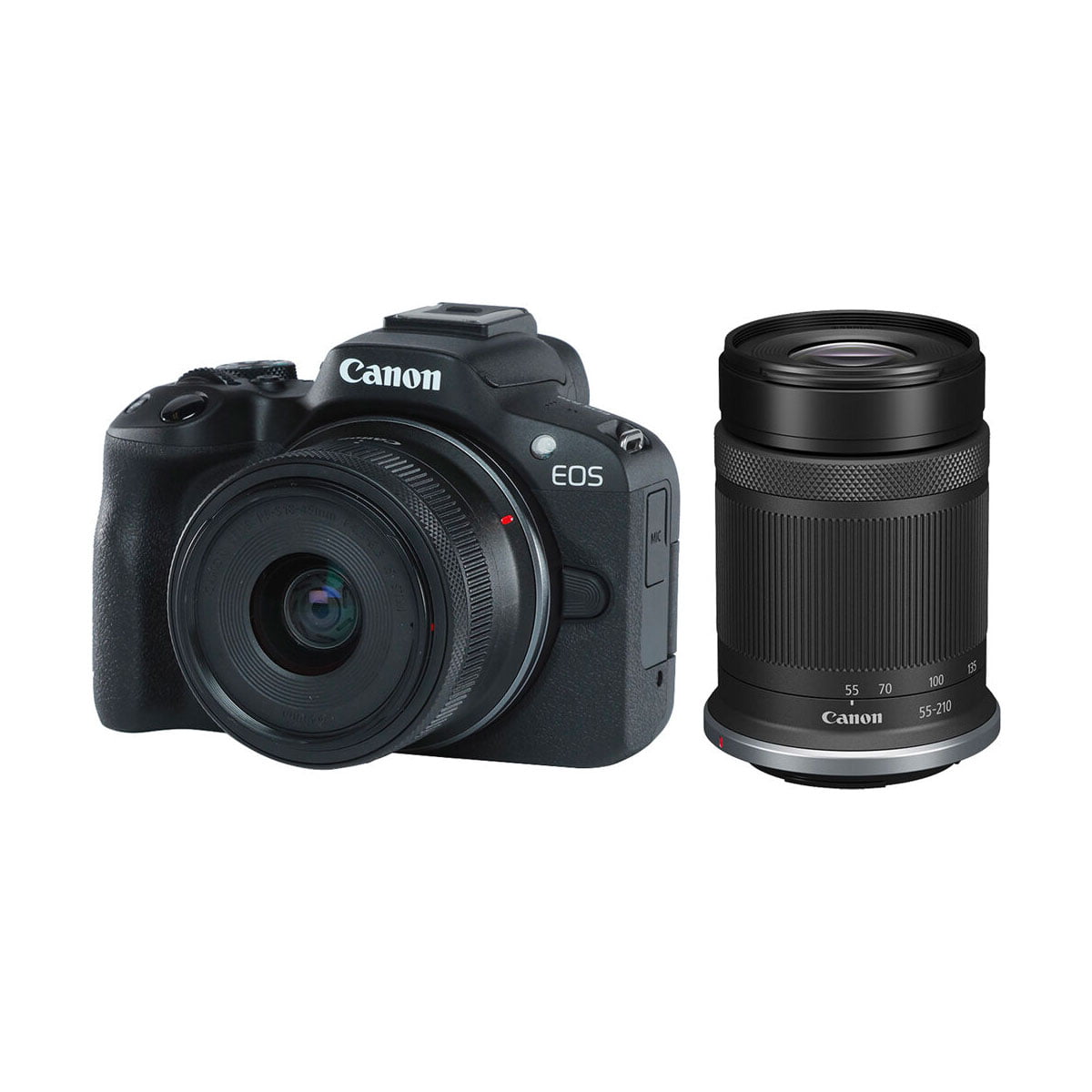Canon EOS R50 + RF-S 18-45mm F4.5-6.3 IS STM + RF-S 55-210mm F5-7.1 IS STM