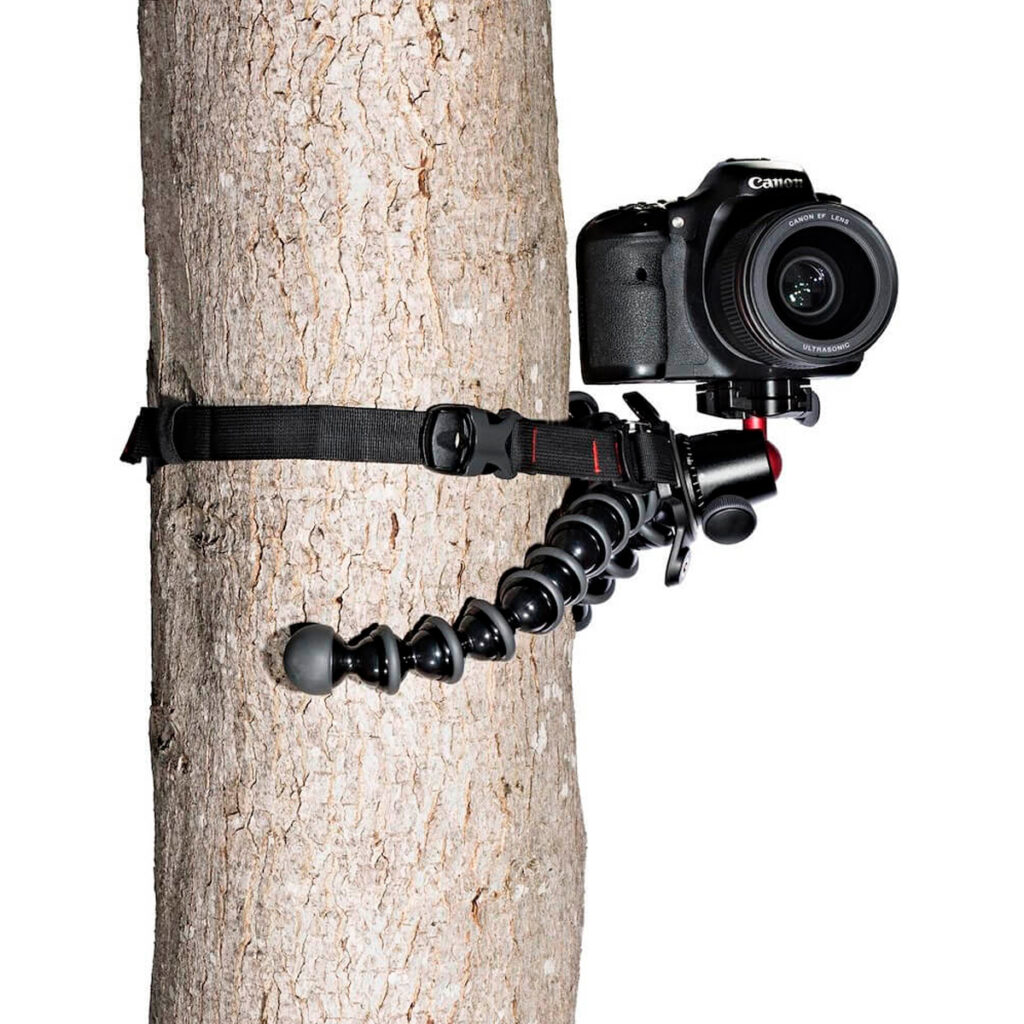 Joby-GorillaPod-Upgrade-Rig-5 DSLR-kamera on kiinnitetty Joby GorillaPod Upgrade Rig -laitteeseen ja kiinnitetty turvallisesti puunrunkoon mustalla hihnalla.