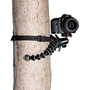 Joby-GorillaPod-Upgrade-Rig-5 DSLR-kamera on kiinnitetty Joby GorillaPod Upgrade Rig -laitteeseen ja kiinnitetty turvallisesti puunrunkoon mustalla hihnalla.