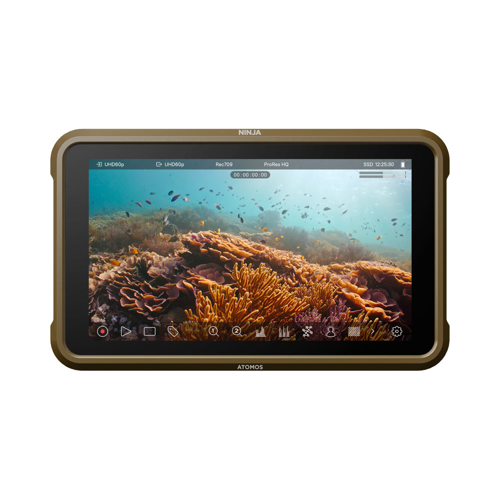 ninja_v_new_02 ATOMOS Ninja -kannettava videomonitori ja -tallennin esittelee näytöllään eloisan vedenalaisen maiseman, jossa on värikkäitä koralleja ja pieniä kaloja.