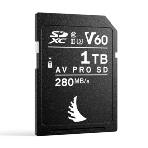 800q-01_121066 ANGELBIRD 1TB GB AV Pro Mk 2 V60 UHS-II SDXC memory card, black with white label "AV PRO SD" and "280MB/s", standing upright on a light background.