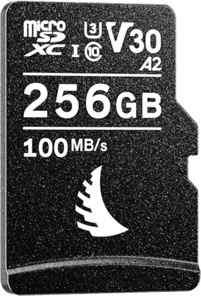 ANGELBIRD microSD AV PRO (V30) 256GB Kameratarvikkeet
