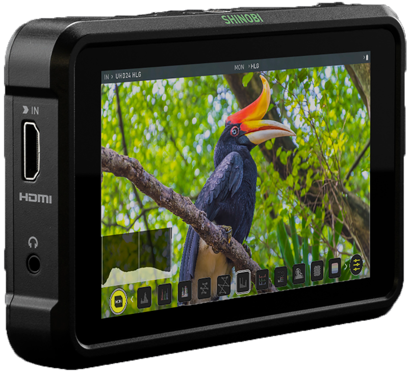 800q-01_121964 ATOMOS Shinobi - 5" HDR Photo & Video Monitor -näytön lähikuvassa näkyy sarvikuono puun oksalla istumassa vihreiden lehtien keskellä, ja näytöllä näkyy erilaisia kamera-asetuksia ja kuvakkeita.