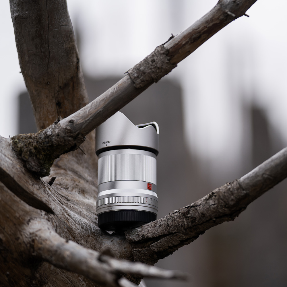 1680068320_812 Viltrox AF 33mm f/1.4 -objektiivi, Nikon Z (hopea) on kuvattu lepäämään sään vaikutuksesta vanhentuneella puun oksalla pehmeästi sumeaa harmaata taustaa vasten.
