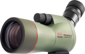 800q-01_108709 KOWA Spottingscope TSN-553 15-45x -kaukoputki, jossa on suuri etulinssi, tarkennusnuppi ja kulmikas okulaari, näkyy vaaleaa taustaa vasten.