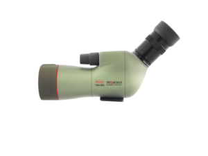 800q-03_108709 KOWA Spottingscope TSN-553 15-45x -kaukoputki, jossa on vihreä runko, musta okulaari ja tarkennusnuppi, näkyy valkoisella pohjalla.