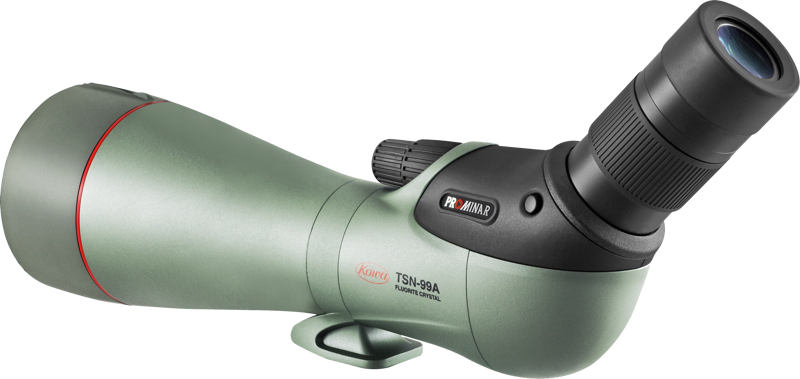 KOWA Spottingscope TSN-99A PROMINAR 30-70xW -zoomissa on vihreä ja musta kulmamalli, suuri objektiivi, säädettävä okulaari ja jalustakiinnitysjalka.