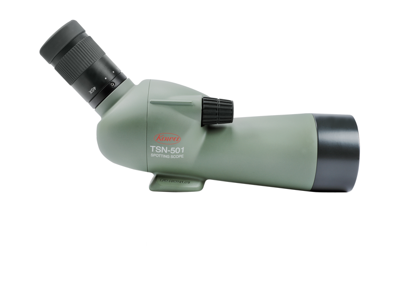800q-05_108710 KOWA Spottingscope TSN-501 20-40x telescope with black angled eyepiece and large objective in a green body with white background.
