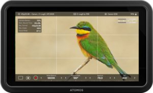 800q-02_128707 Atomos Shinobi II 5.2”