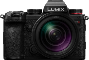 800q-02_129823 Panasonic Lumix S5D + 28-200mm f/4-7.1 Macro