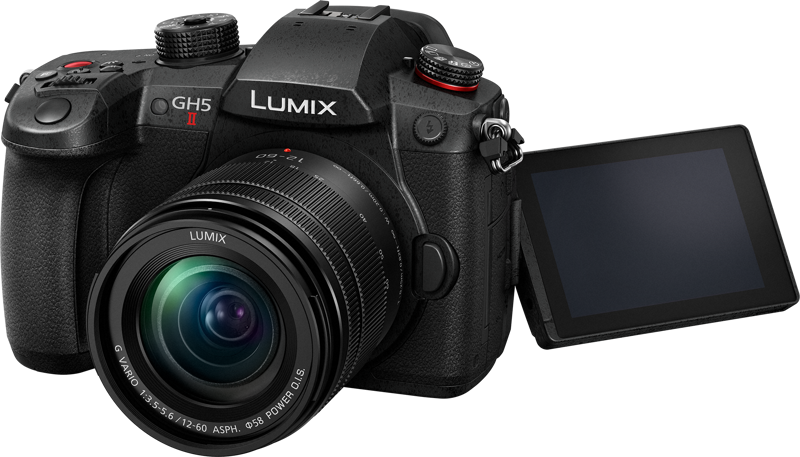 800q-03_116688 Panasonic Lumix GH5 II + 12-60mm f/3.5-5.6