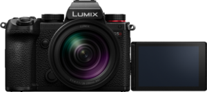 800q-03_129823 Panasonic Lumix S5D + 28-200mm f/4-7.1 Macro